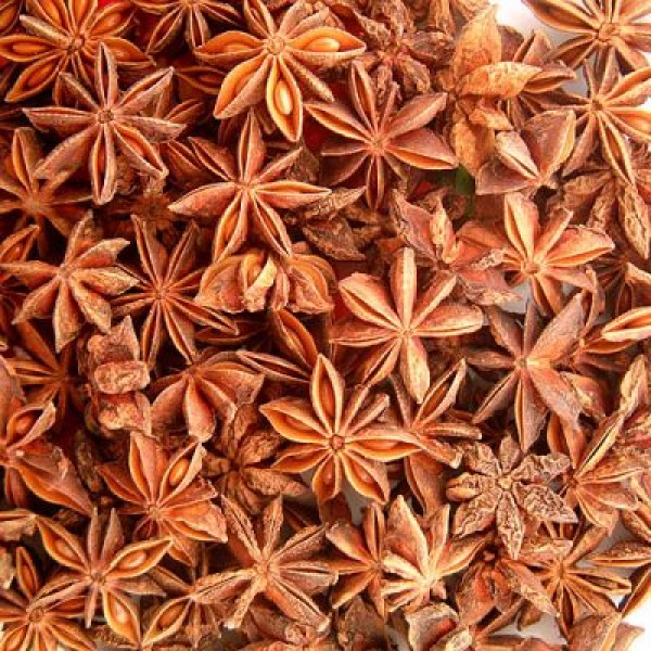 Badiane Fruits Bio 40 g *